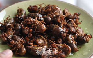孜然金蝉的做法步骤：2