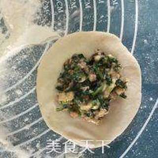 马兰头香菇肉包的做法步骤：13