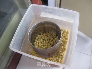 自制豆腐的做法步骤:2