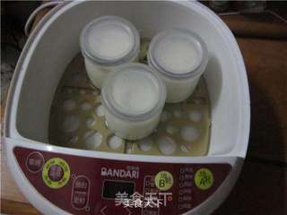 电炖锅制作酸奶的做法步骤:6