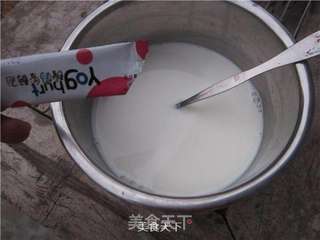 电炖锅制作酸奶的做法步骤:4