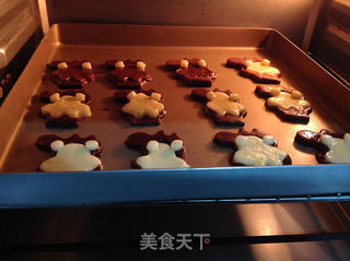 抢手的美味动物饼干的做法步骤:6