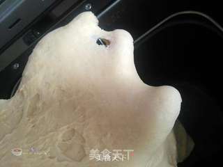 小蜗牛面包的做法步骤:7