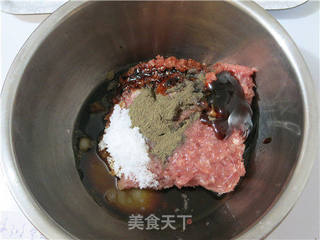 【姜健宝试用报告】糖姜汁美味猪肉铺的做法步骤:5