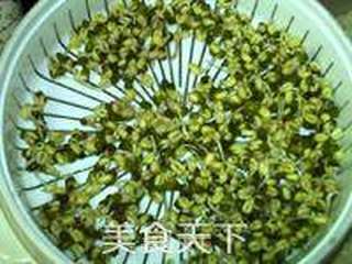 绿豆芽养成记的做法步骤：8