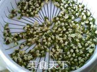 绿豆芽养成记的做法步骤：7