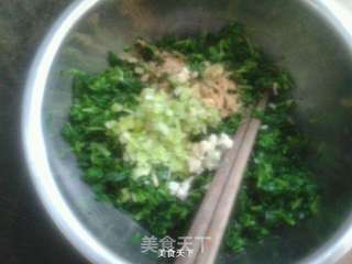 苜蓿饺子的两种人生路的做法步骤:4
