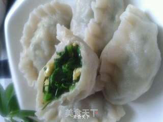 苜蓿饺子的两种人生路的做法步骤:9