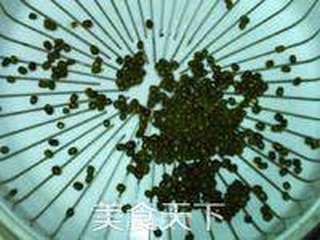 绿豆芽养成记的做法步骤：3