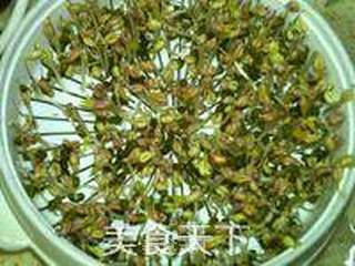 绿豆芽养成记的做法步骤：12