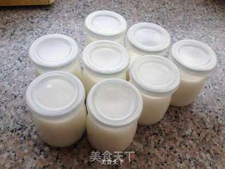 烤箱版酸奶引子酸奶的做法步骤:4