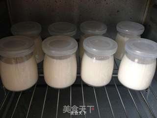 烤箱版酸奶引子酸奶的做法步骤:5