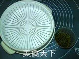 绿豆芽养成记的做法步骤：1
