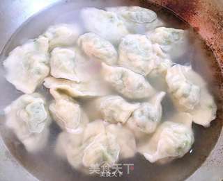 鸟贝水饺的做法步骤:12