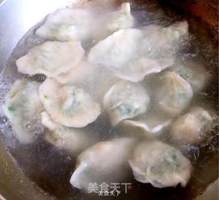 鸟贝水饺的做法步骤:11