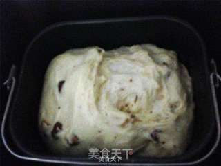 #东菱魔法云智能面包机#之红枣酸奶面包的做法步骤:9
