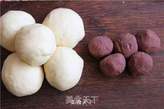 豆沙小餐包的做法步骤:4