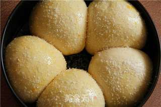 豆沙小餐包的做法步骤:8