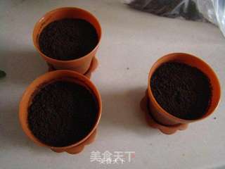 巧克力慕斯盆栽蛋糕的做法步骤:21