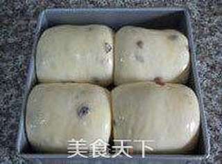 【蔓越莓面包】 --- 只要面团好,模具不是问题的做法步骤:15