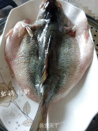 清蒸鲈鱼—私房做法的做法步骤:6