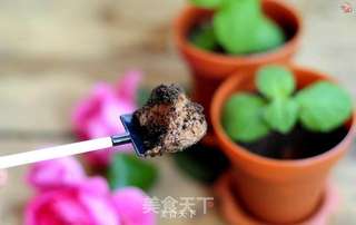 巧克力慕斯盆栽蛋糕的做法步骤:29