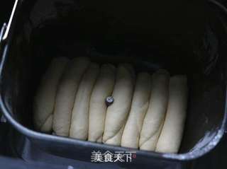 浓郁奶香排包的做法步骤:6