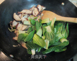 鸡肉香菇油菜的做法步骤：10