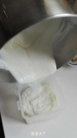 椰丝牛奶凉糕的做法步骤:9