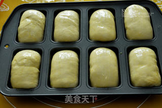 奶味肉松小餐包的做法步骤:10