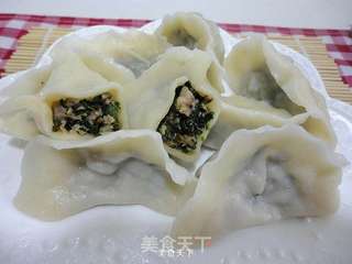 婆婆丁肉馅饺子的做法步骤:17