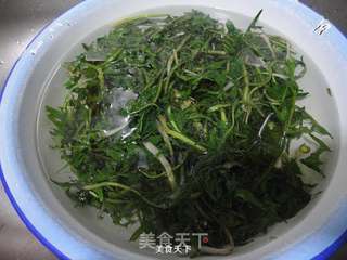 婆婆丁肉馅饺子的做法步骤:9