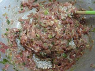 婆婆丁肉馅饺子的做法步骤:5