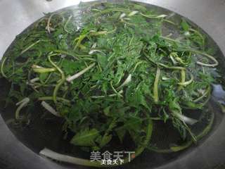 婆婆丁肉馅饺子的做法步骤:8
