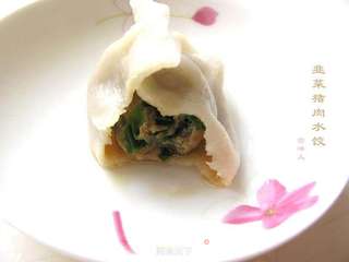 韭菜猪肉水饺的做法步骤:13