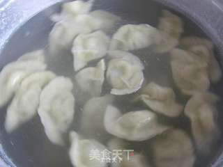 韭菜猪肉水饺的做法步骤:11