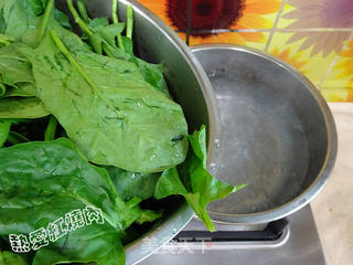 鸡蛋炸酱菠菜面的做法步骤:2