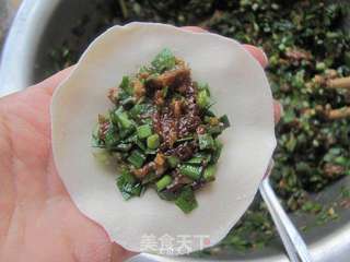 韭菜猪肉水饺的做法步骤:8