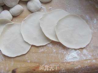 韭菜猪肉水饺的做法步骤:7