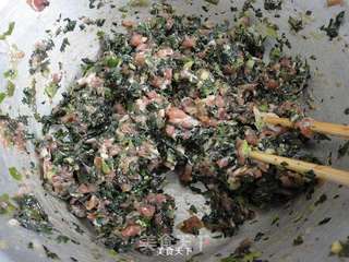 婆婆丁肉馅饺子的做法步骤:11