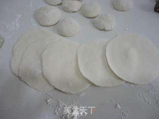 婆婆丁肉馅饺子的做法步骤:14