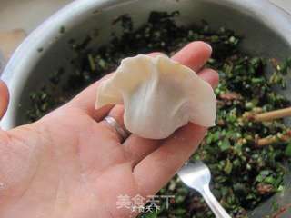 韭菜猪肉水饺的做法步骤:10