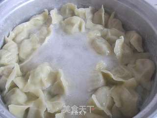 韭菜猪肉水饺的做法步骤:12