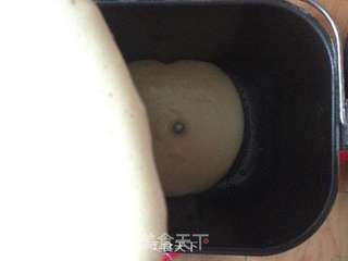 易贝斯特橄榄油试用报告--橄榄油纹路蛋糕的做法步骤:10