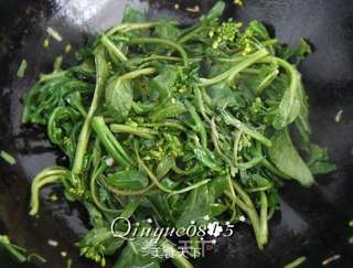清炒小菜芯的做法步骤:4