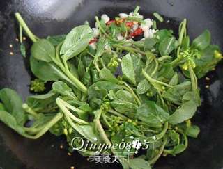 清炒小菜芯的做法步骤:3