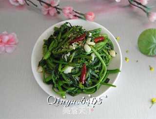 清炒小菜芯的做法步骤:5