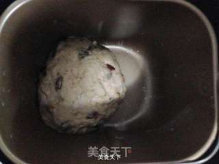 全麦核桃包——健康料足的软欧包的做法步骤:5