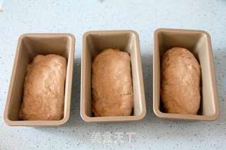 无油无蔗糖免揉的无花果核桃黑麦包的做法步骤:8