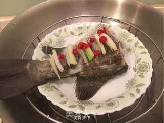 清蒸鱼的做法步骤:4